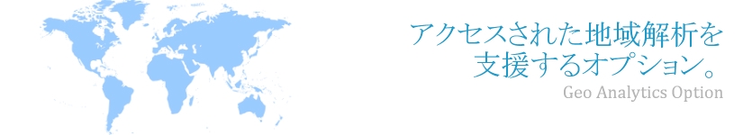 アクセスされた地域解析を支援するオプション。